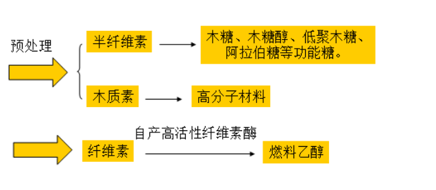 生物质乙醇预处理步骤工艺图.png