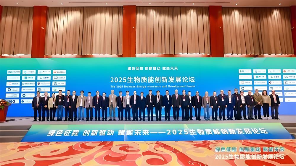 生物质能产业跨越式发展：直燃技术破局碳中和新路径