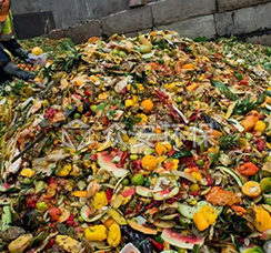 餐厨1 拷贝 2.jpg