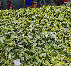 餐厨1 拷贝 4.jpg