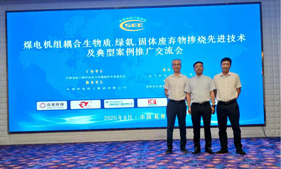 煤电机组耦合生物质 绿氨.png